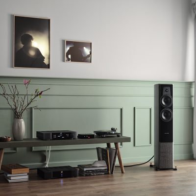 Dynaudio-Contour-30i