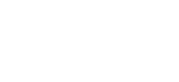 VTL logo