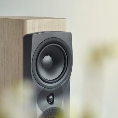dynaudio confidence 30