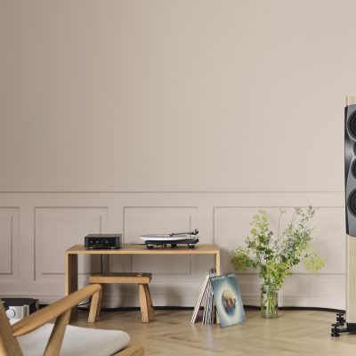 dynaudio confidence 30
