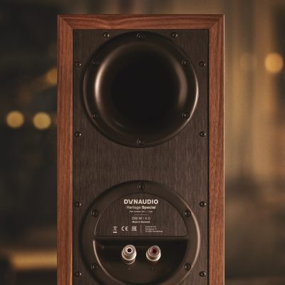 dynaudio heritage special