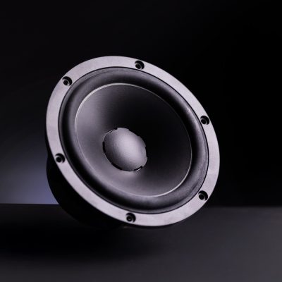dynaudio_legend_woofe