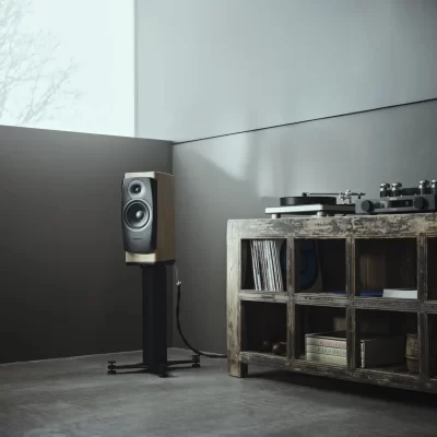 dynaudio_confidence I