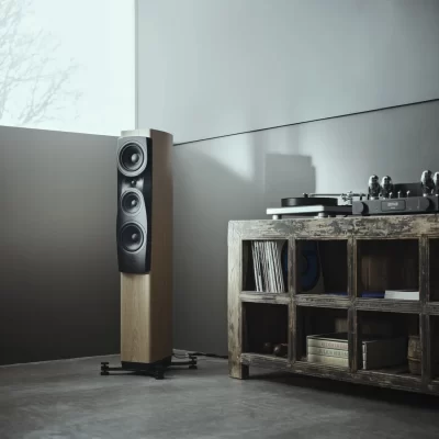 dynaudio_confidence I